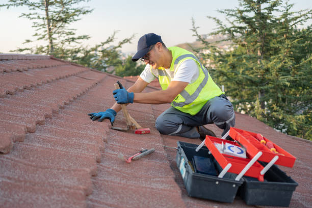 Best Residential Roofing Contractor  in Leesburg, FL