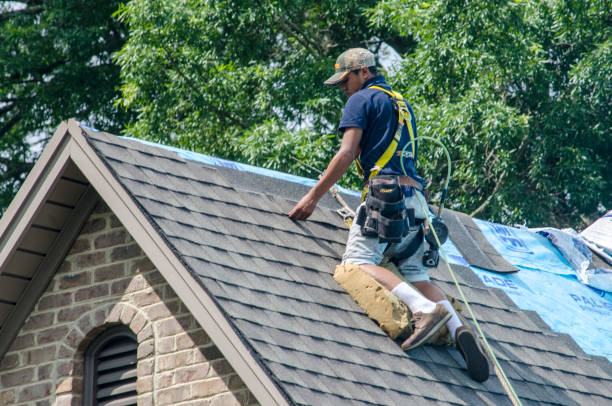 Roof Gutter Cleaning in Leesburg, FL